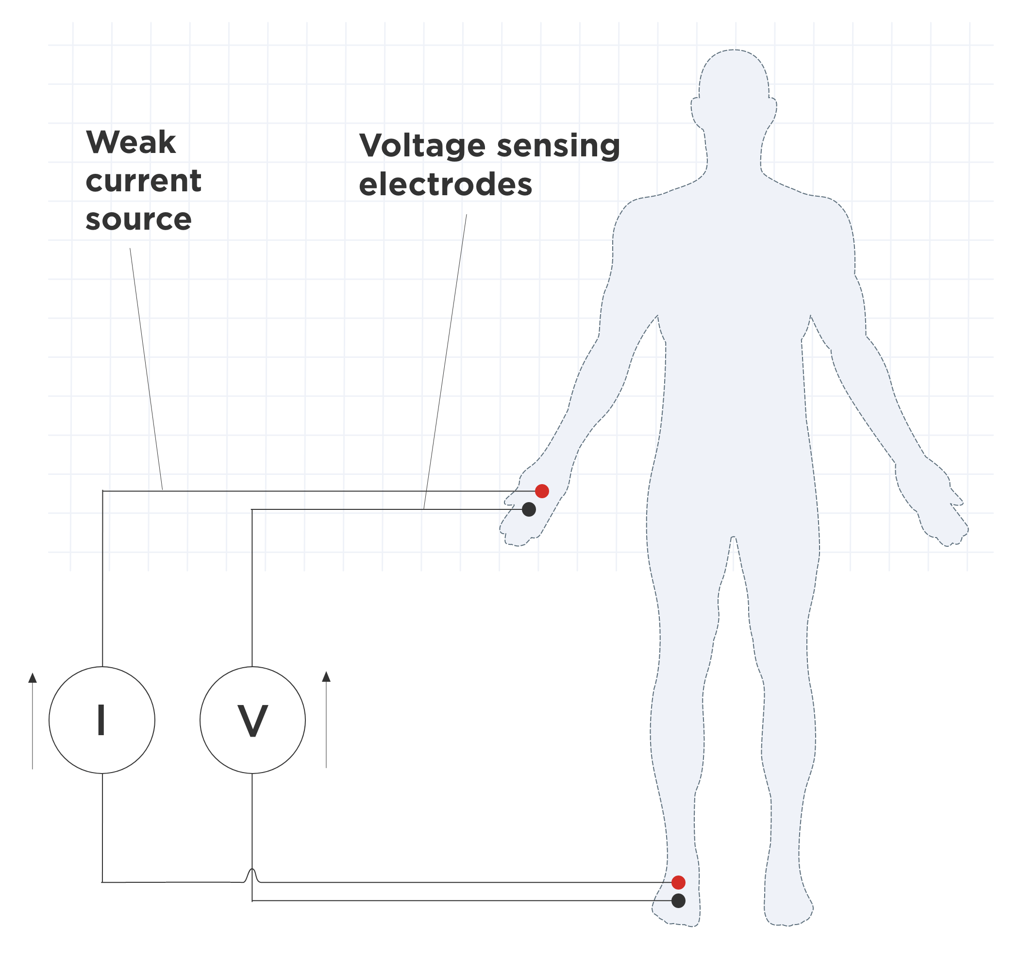 four-electrode configuration for BIA measurement