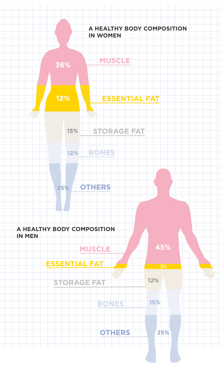 Official Body Fat Percentage Chart: Ideal Body Fat for Men and Women by Age