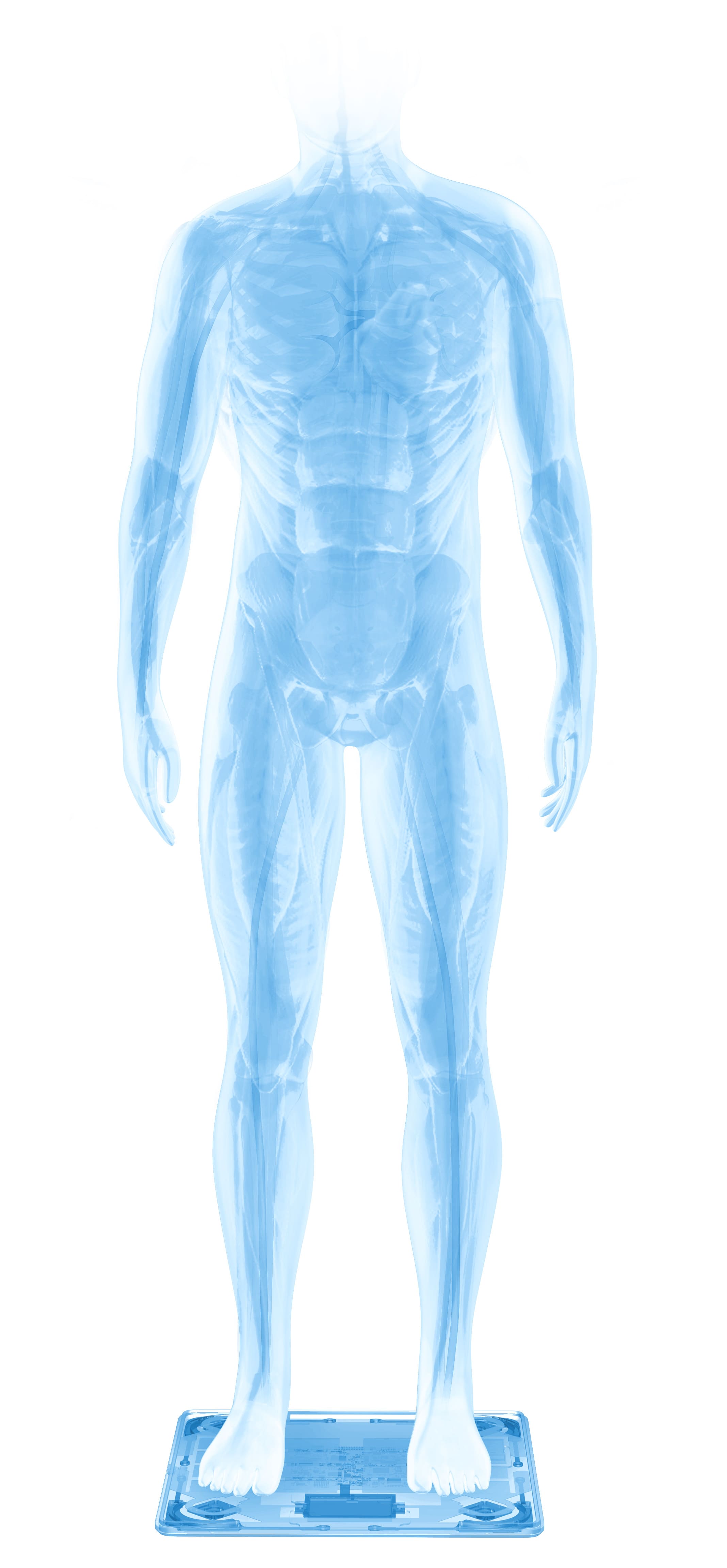 WITHINGS Body+ Wi-Fi Smart Scale w/ BMI Water Fat Muscle & Bone Mass BLACK  3700546702389
